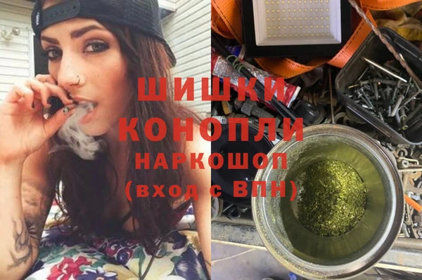 гашик Сафоново
