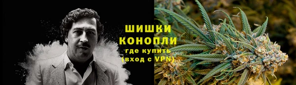 гашик Сафоново