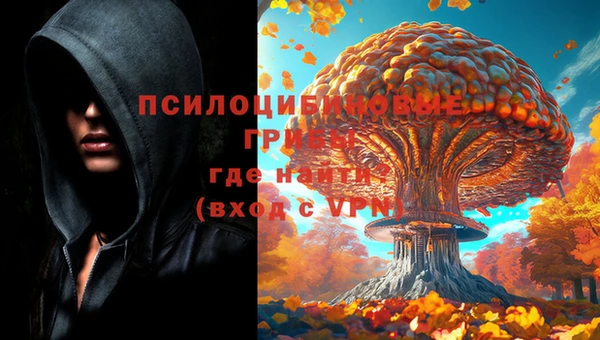 гашик Сафоново
