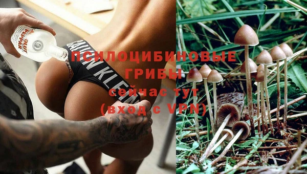 тгк Сатка