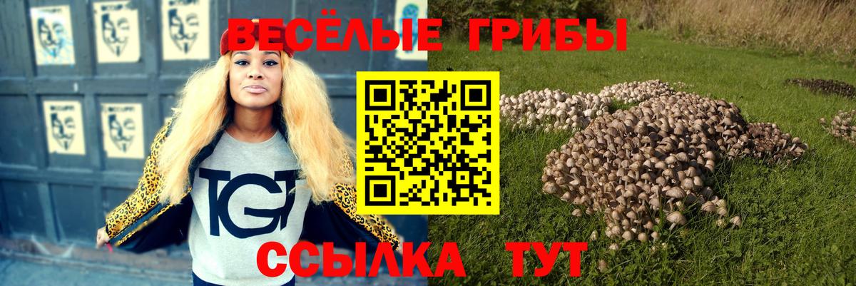 Ухта  Псилоцибиновые грибы прущие грибы  Вход с VPN 