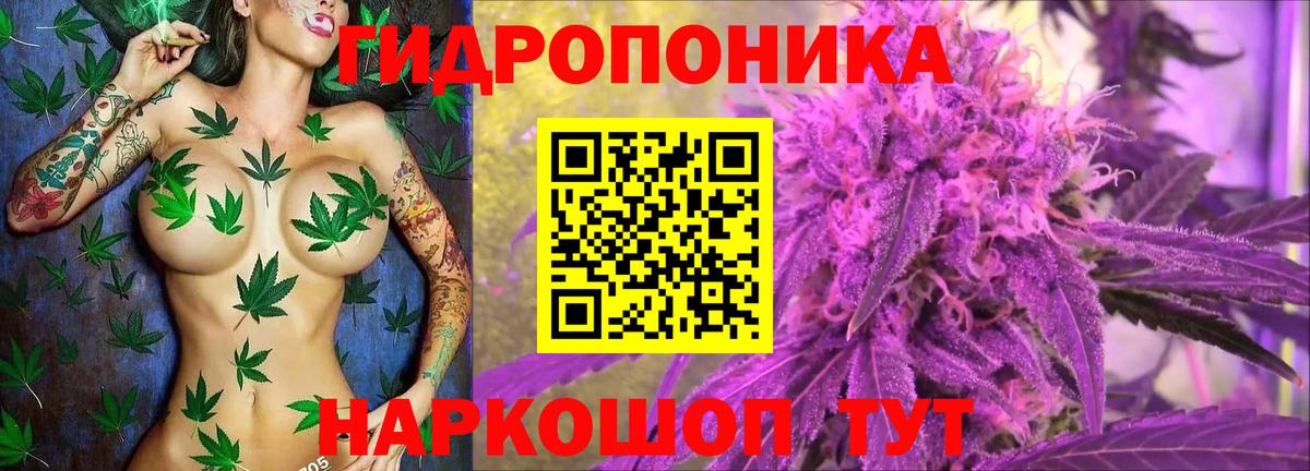Марихуана марихуана  Шишки марихуана SATIVA & INDICA  Вход с VPN  Ухта  Бошки марихуана Amnesia 